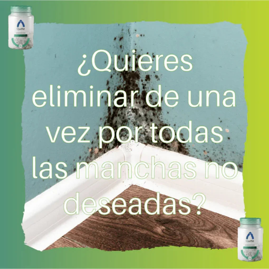 gid://shopify/MediaImage/25388449005686